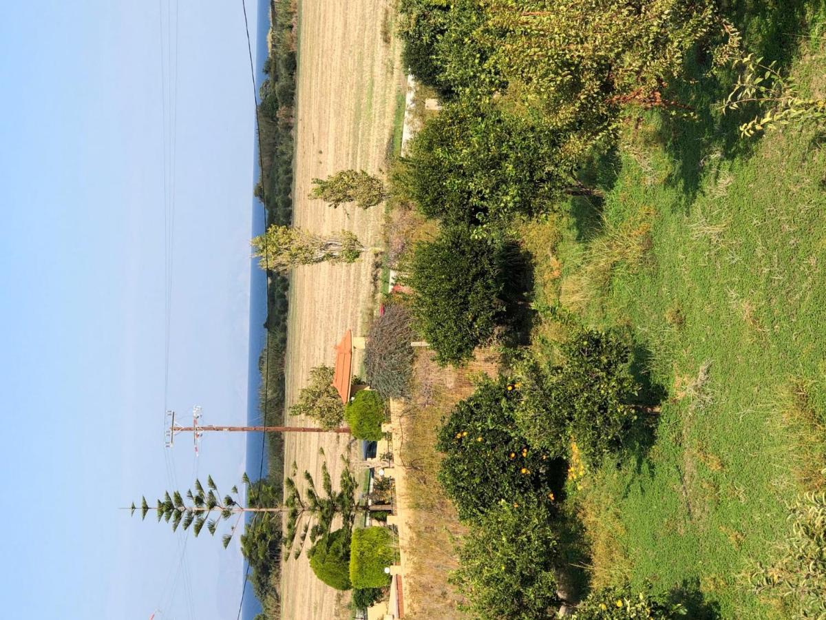 Kalavárda Stelia Luxury Apartments מראה חיצוני תמונה