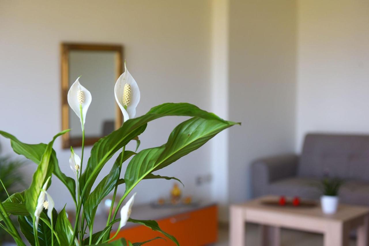 Kalavárda Stelia Luxury Apartments מראה חיצוני תמונה