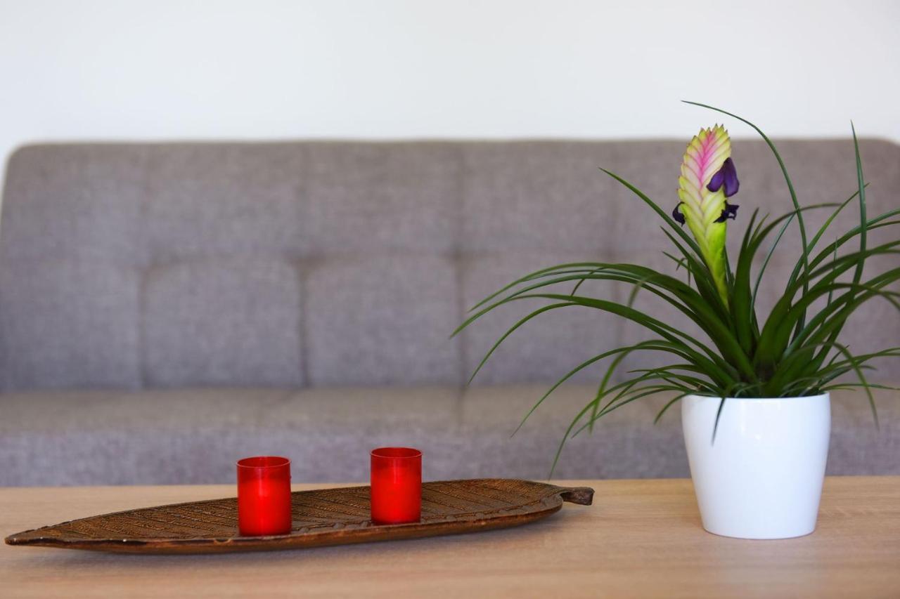 Kalavárda Stelia Luxury Apartments מראה חיצוני תמונה
